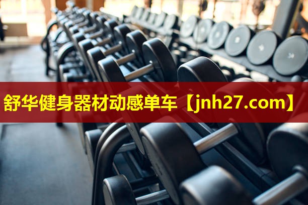 舒华健身器材动感单车